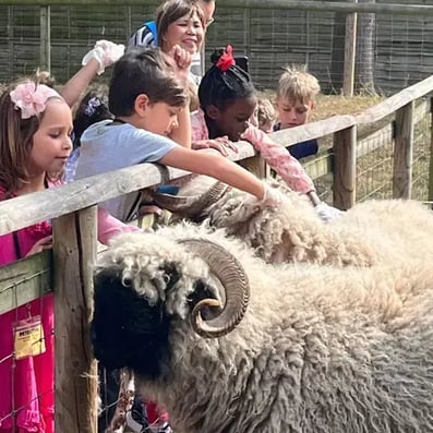 Battersea Park Children’s Zoo
