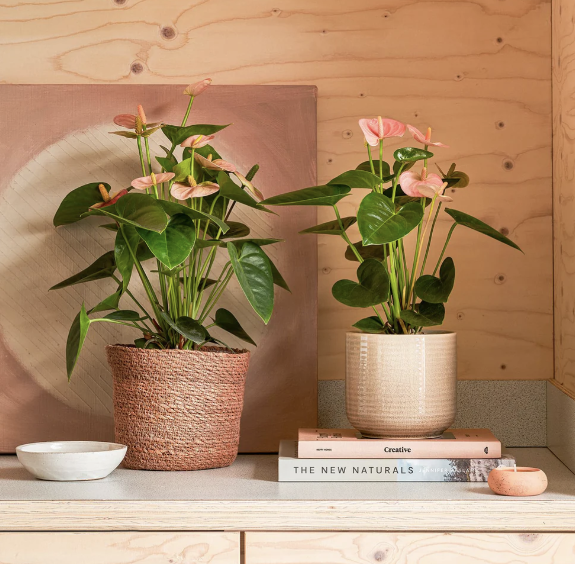 Thoughtful Recommendations for Parent Wellbeing